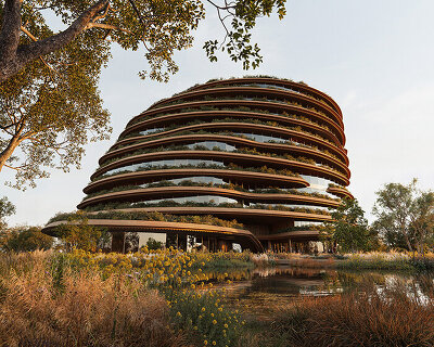 leinemann | ortiz learns from termite mounds with 'solum' garden office in brazil