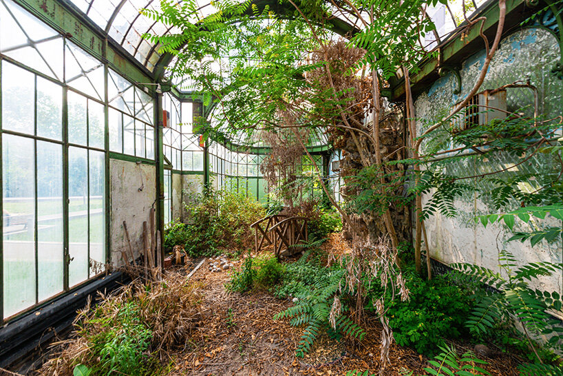 once-captive plants burst free to transform abandoned greenhouses in romain veillon's series