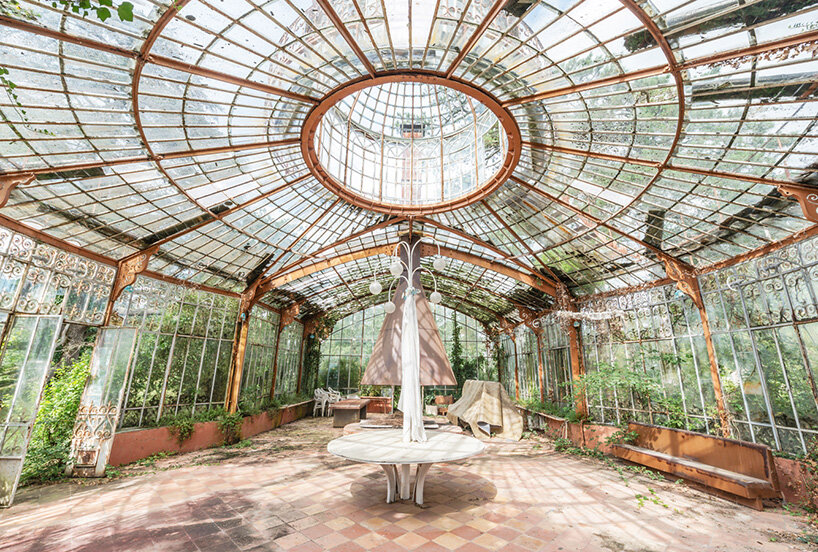 once-captive plants burst free to transform abandoned greenhouses in romain veillon's series
