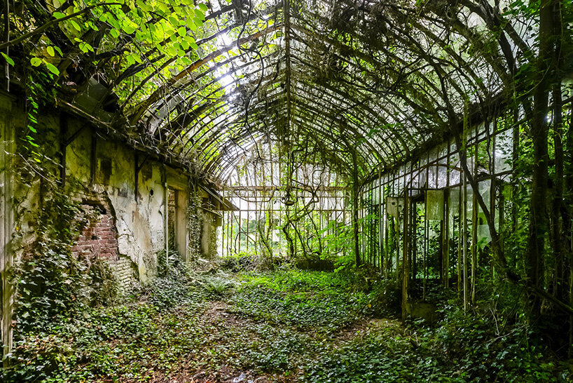 once-captive plants burst free to transform abandoned greenhouses in romain veillon's series