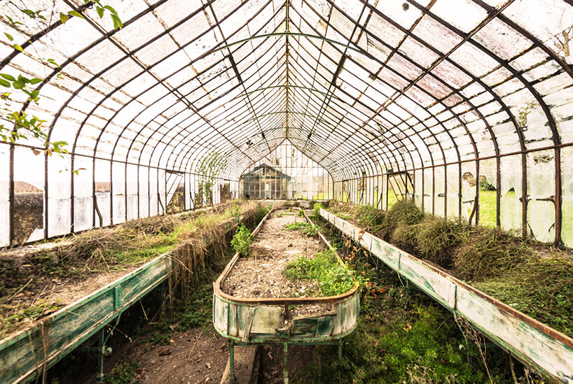 once-captive plants burst free to transform abandoned greenhouses in romain veillon's series