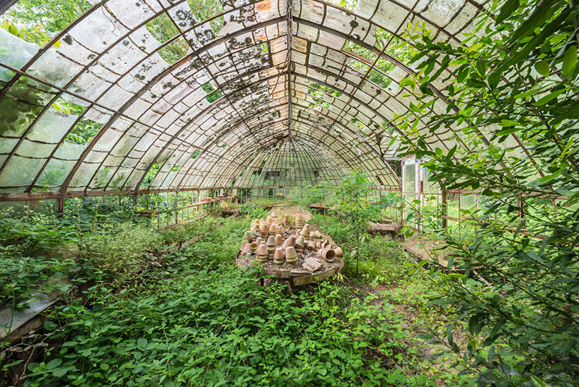 once-captive plants burst free to transform abandoned greenhouses in romain veillon's series