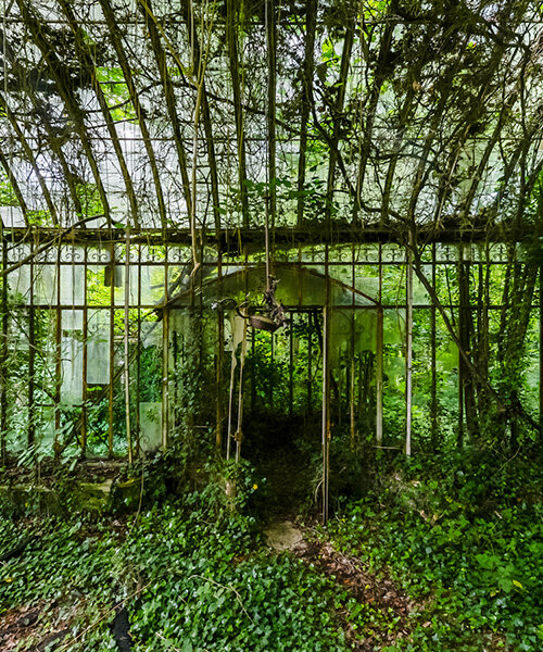 once-captive plants burst free to transform abandoned greenhouses in romain veillon's series