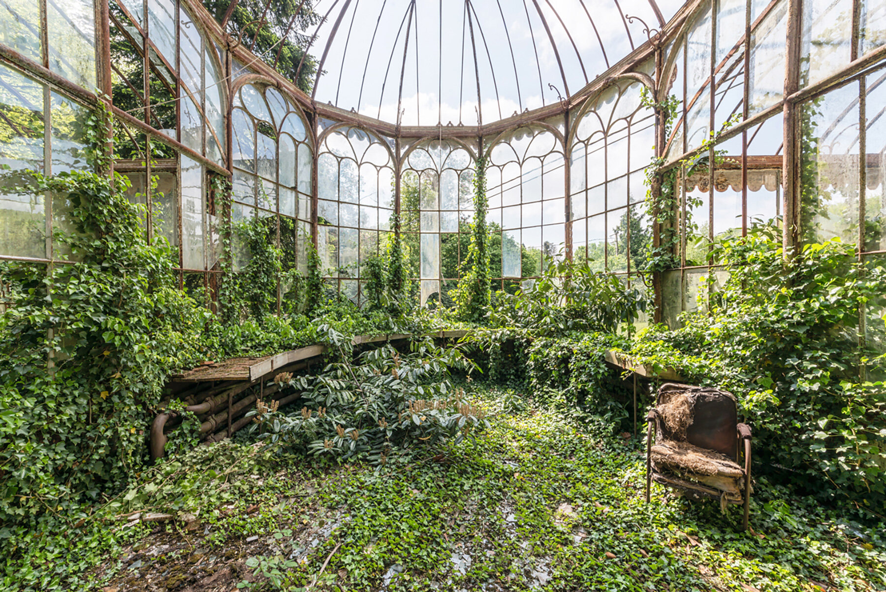 captive-plants-abandoned-greenhouses-romain-veillon-series-designboom-large01