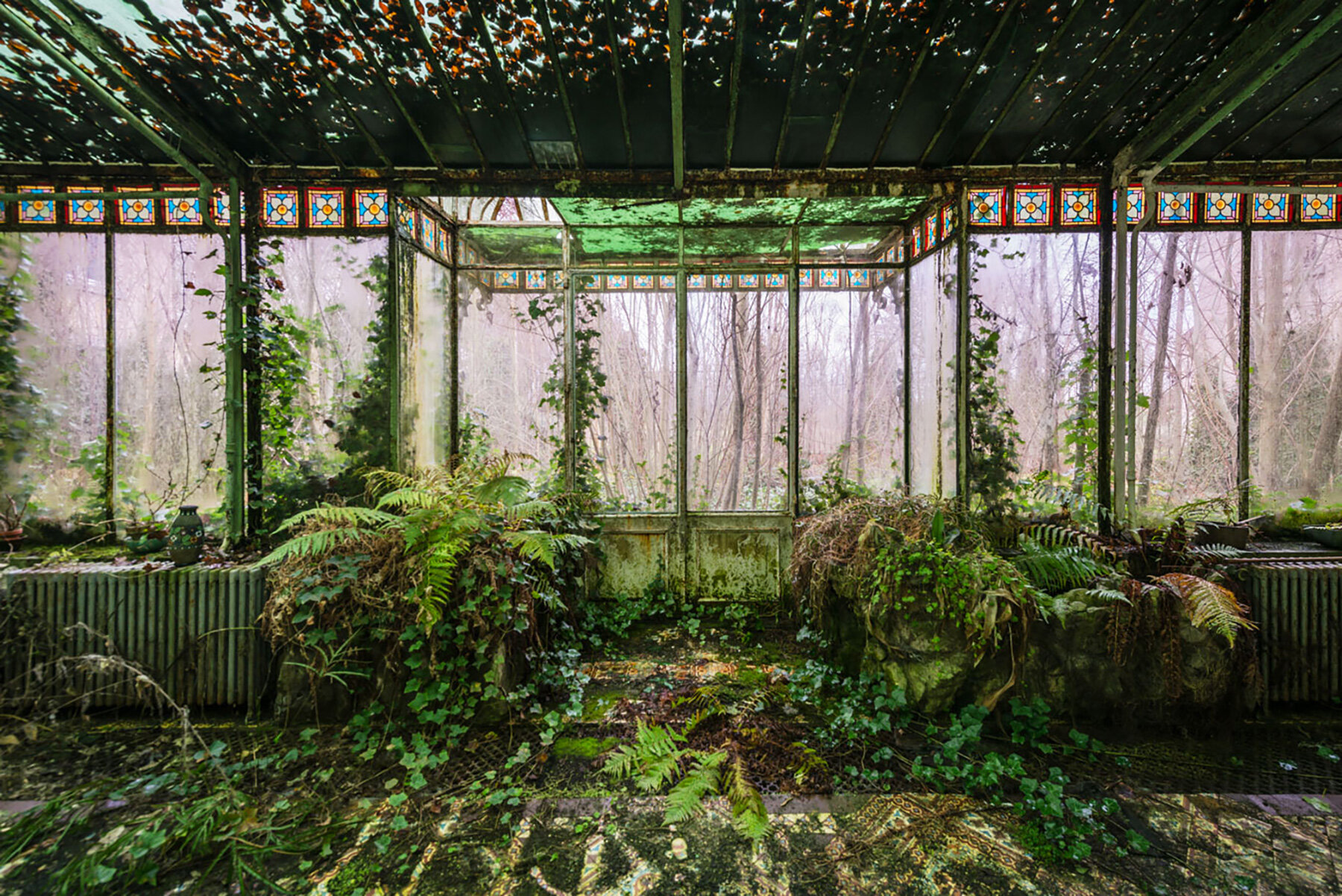 captive-plants-abandoned-greenhouses-romain-veillon-series-designboom-large02