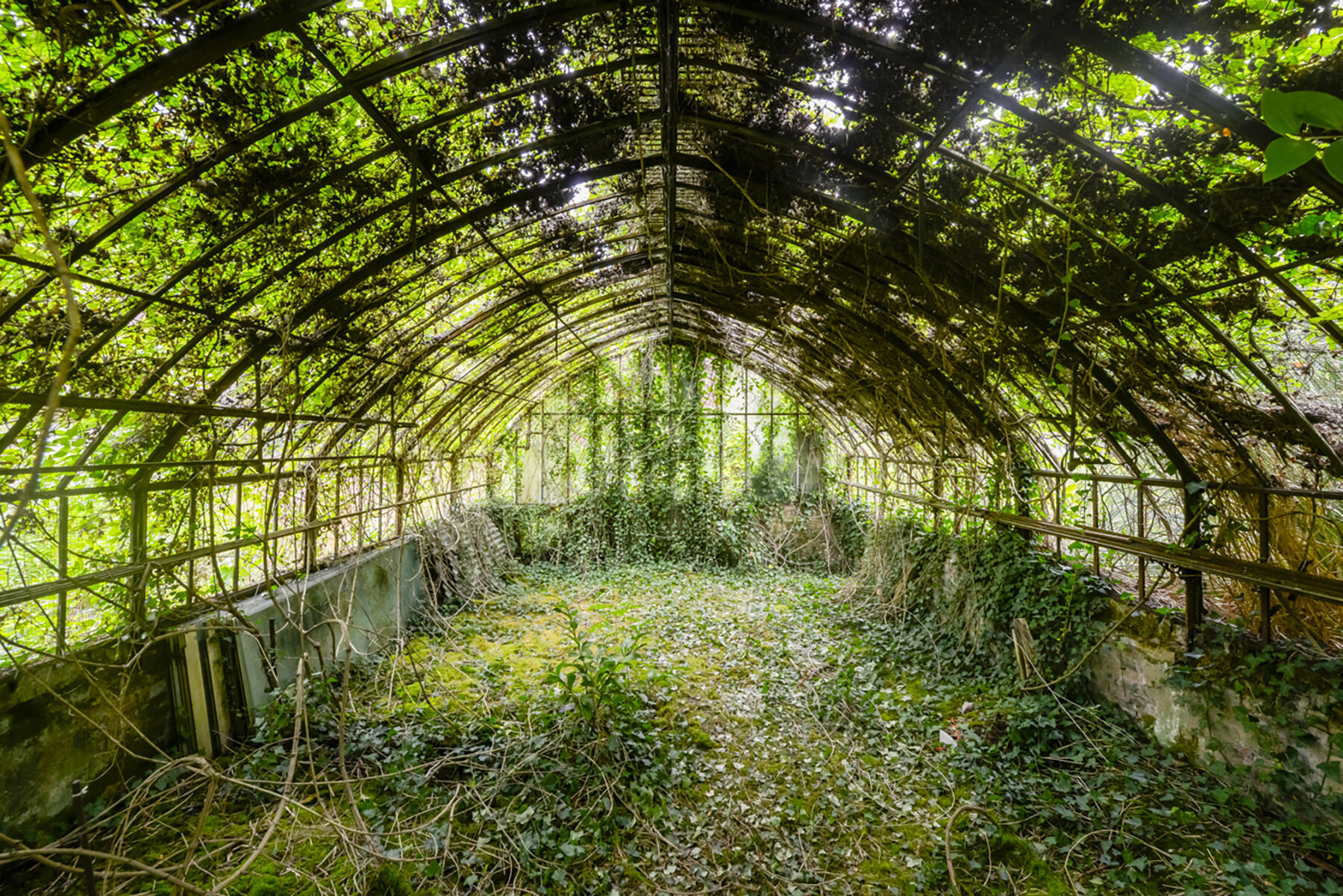 captive-plants-abandoned-greenhouses-romain-veillon-series-designboom-large03