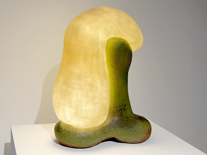 Carmen d'apollonio friedman benda