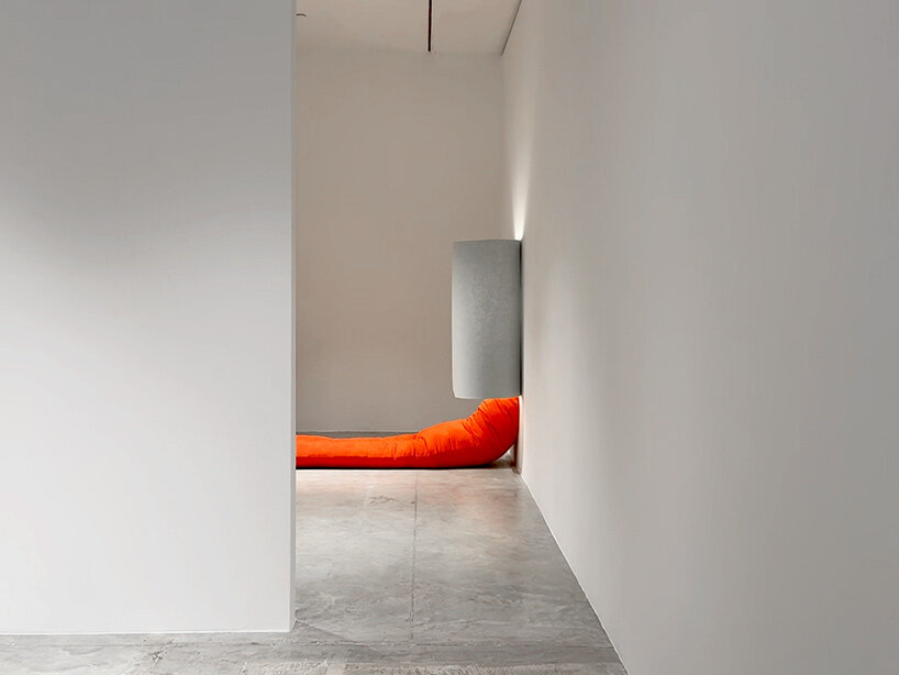 Carmen D’Apollonio friedman benda