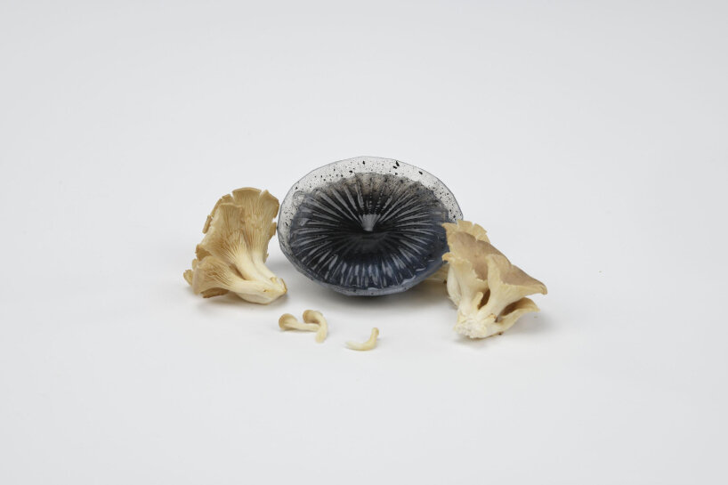 Órganos protésicos fabricados en hongos