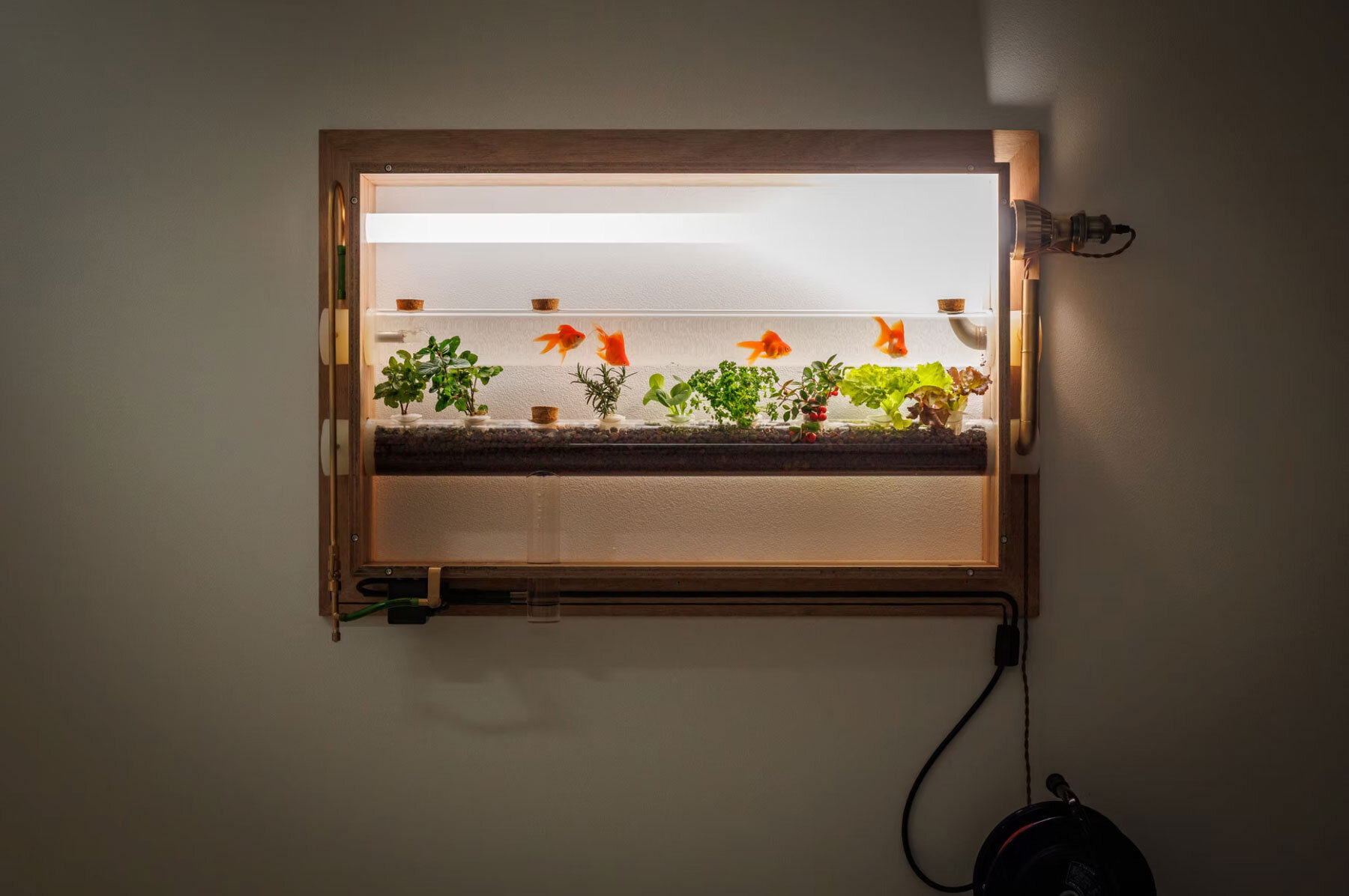 gaku-poni-aquarium-fish-vegetables-keisuke-hatakenaka-architects-studio-designboom-1800-4