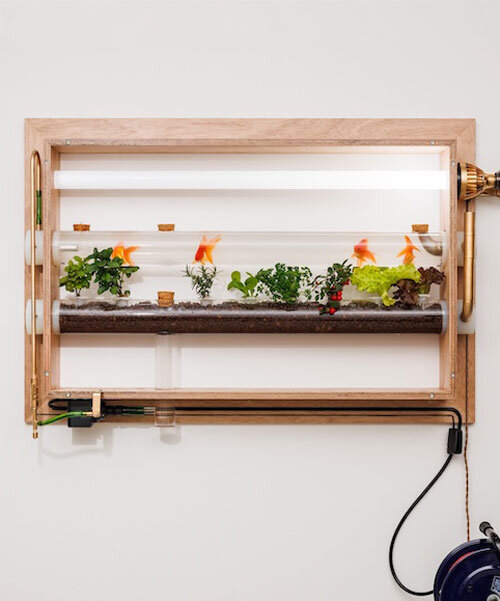 keisuke hatakenaka builds fish farming aquarium doubling as living landscape painting