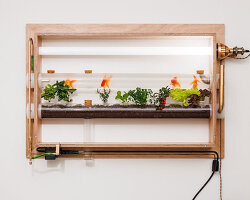 keisuke hatakenaka builds fish farming aquarium doubling as living landscape painting