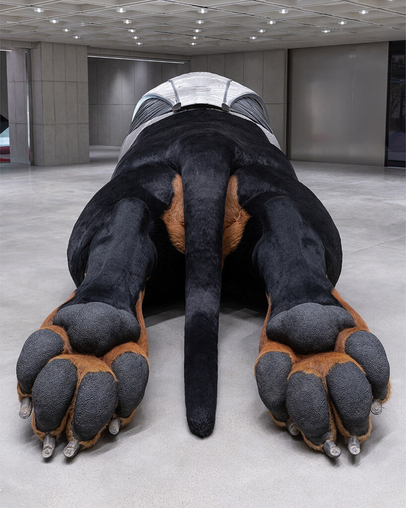 gentle monster's haus nowhere opens in seoul with giant breathing dachshund installation