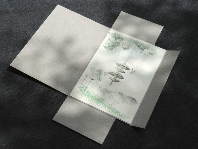 Pájaros adoptivos normandos