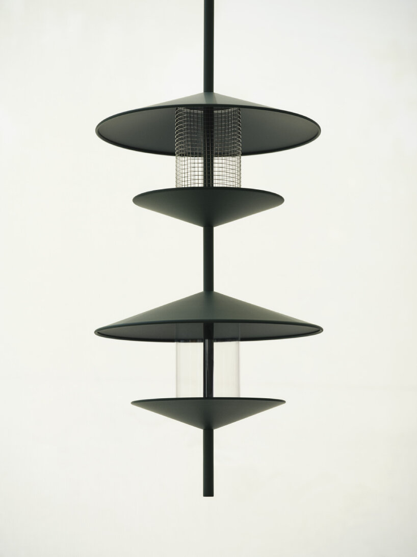 Pájaros adoptivos normandos