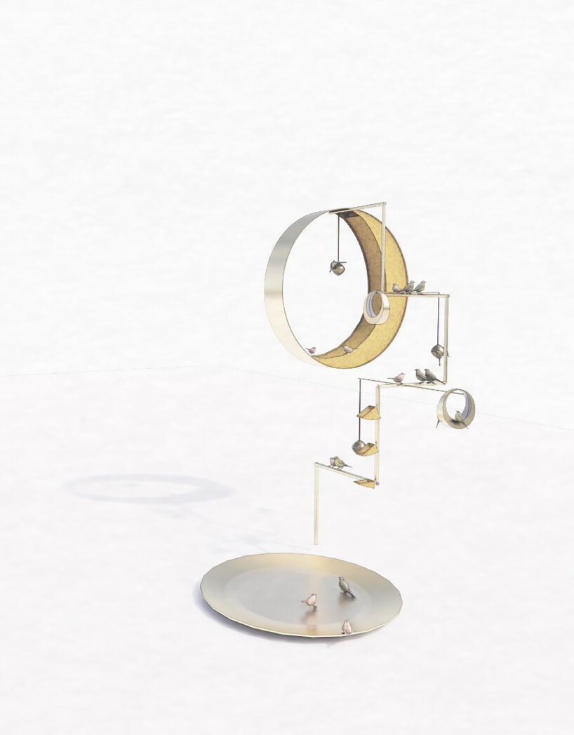 Pájaros adoptivos normandos