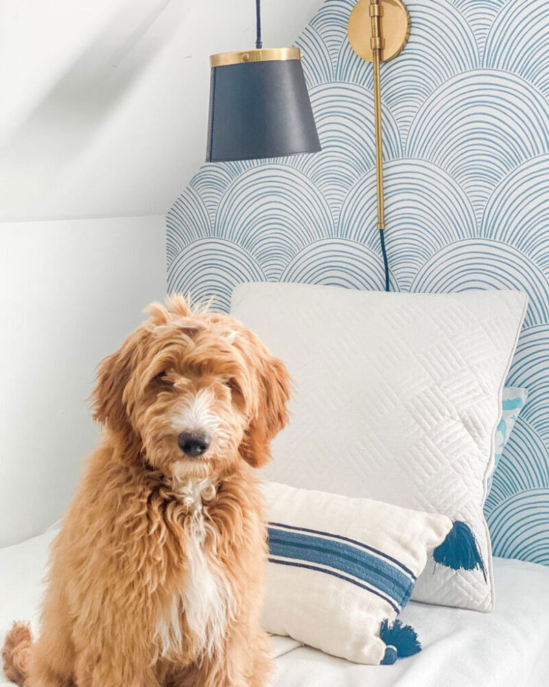 El papel tapiz despegable y adhesivo de Love vs Design reconsidera los interiores temporales para la vida moderna