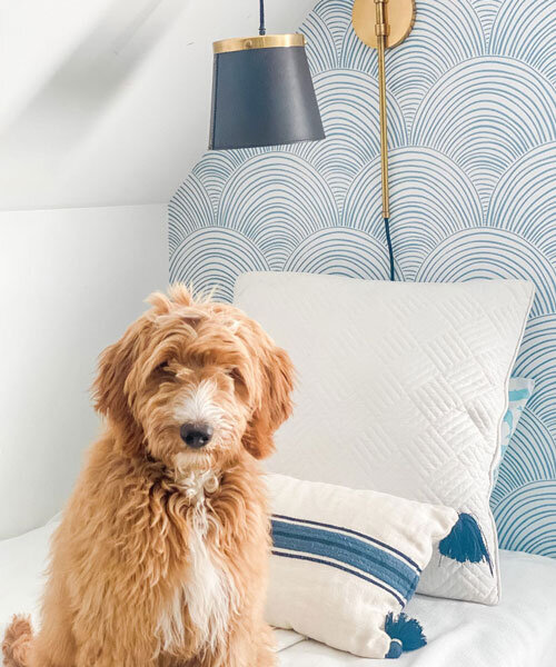 peel-and-stick wallpaper by love vs design rethinks temporary interiors for modern living