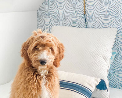 peel-and-stick wallpaper by love vs design rethinks temporary interiors for modern living