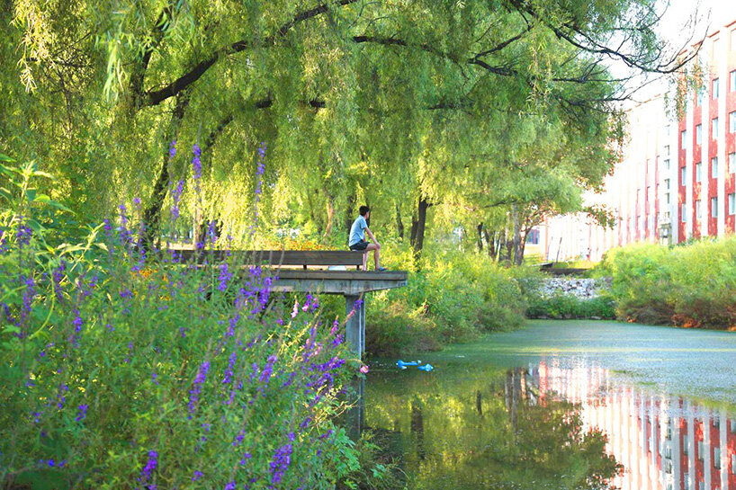 La ciudad de esponja pionera de Kong Zong muestra cómo el diseño urbano se adapta al cambio climático