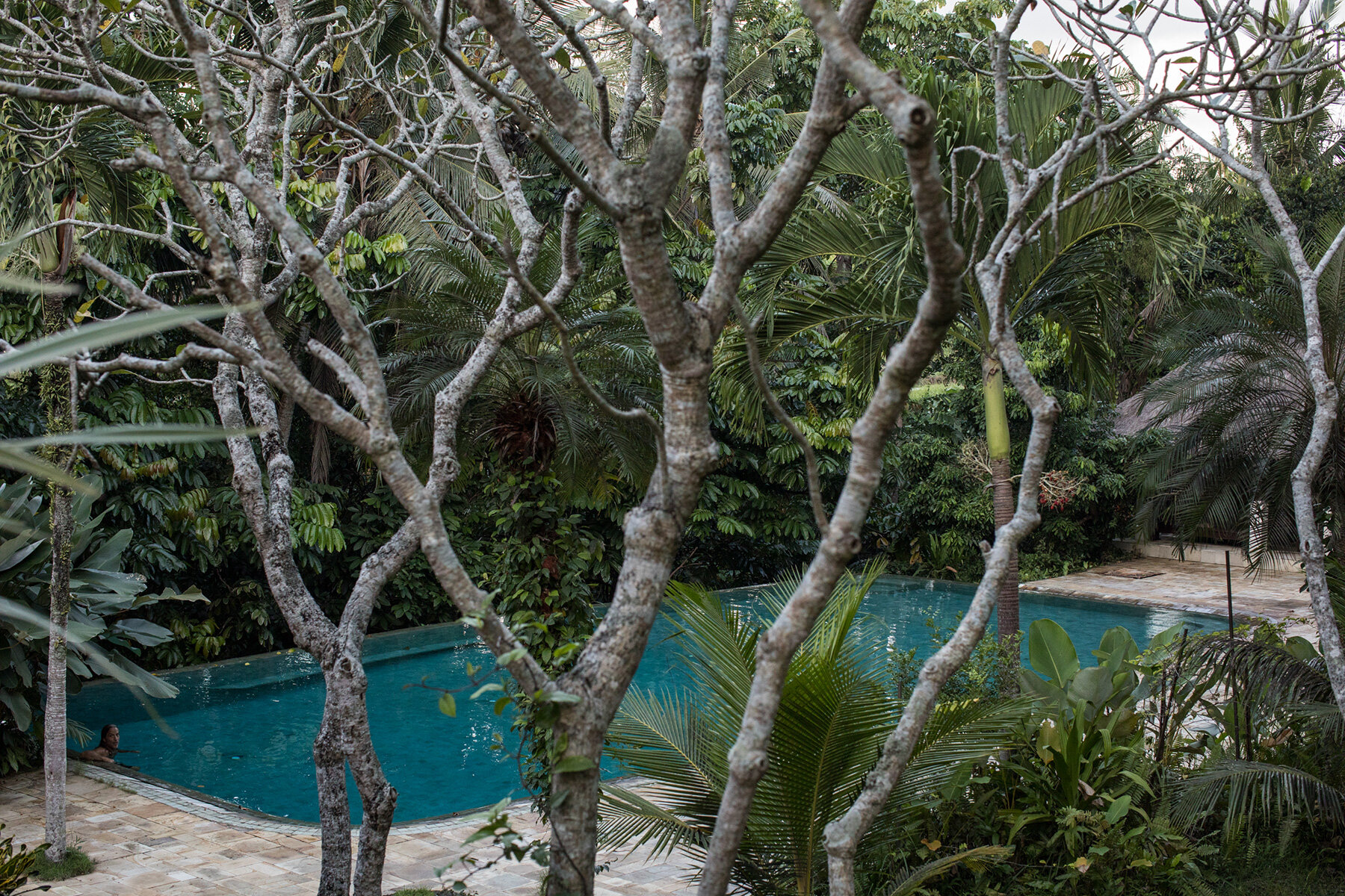 rf-studio-performing-arts-foundation-bali-bamboo-retreat-artists-yayasan-bali-purnati-designboom-large02