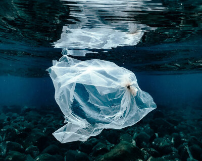 scientists recycle plastic bags into glowing sensors that detect toxic metals in drinking water
