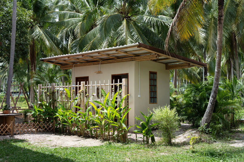Helado de bambú en los bosques de coco en Tailandia