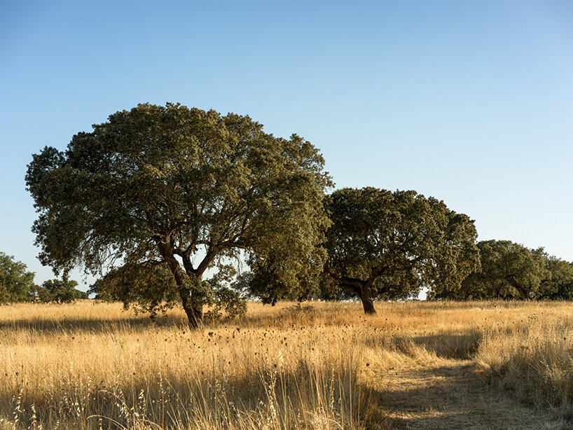 La colección Além Tejo de ferreira de sá combina la herencia portuguesa con el diseño contemporáneo