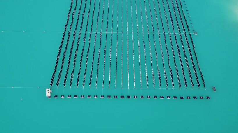 paneles solares verticales flotantes