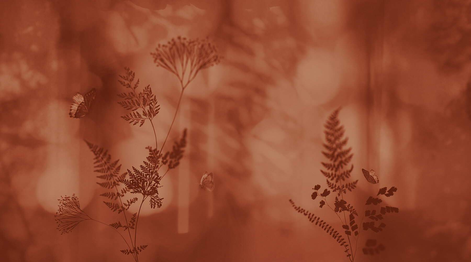 inkiostro-bianco-flamenco-wallpaper-designbom-fullwidth