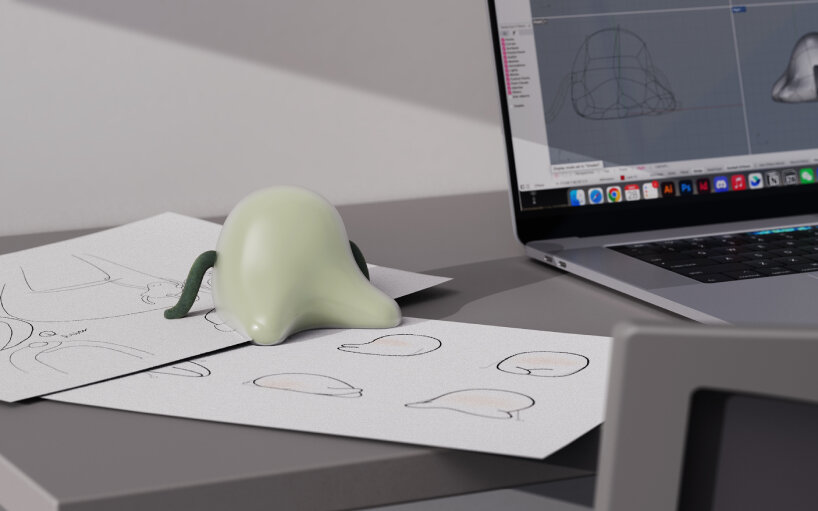 concepto jalea compañero trutru