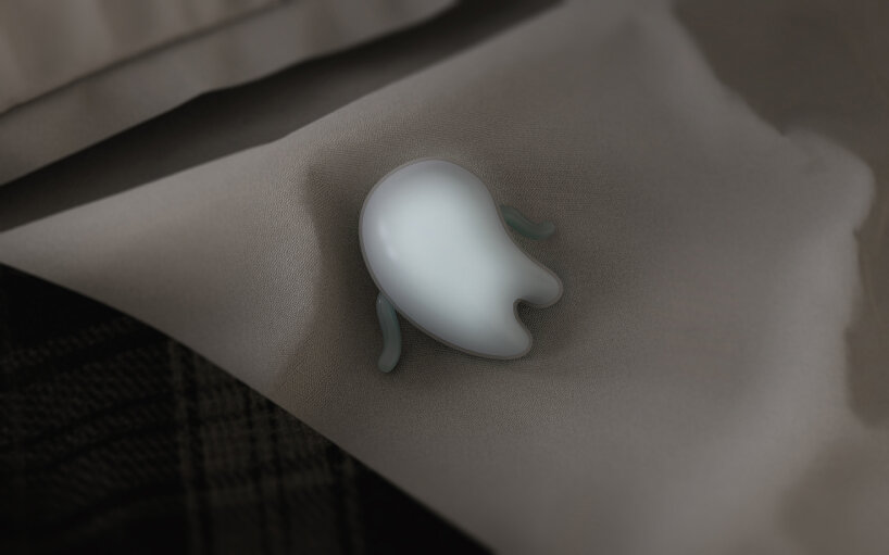 concepto jalea compañero trutru