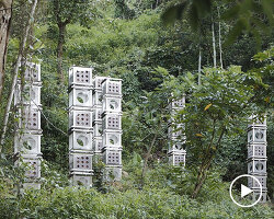 industrial modules and organic soil build architectural installation that grows with the forest