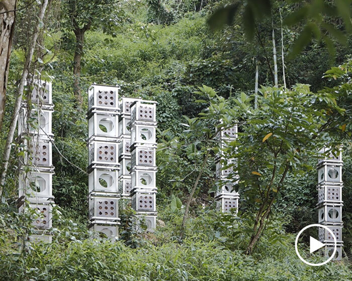 industrial modules and organic soil build architectural installation that grows with the forest