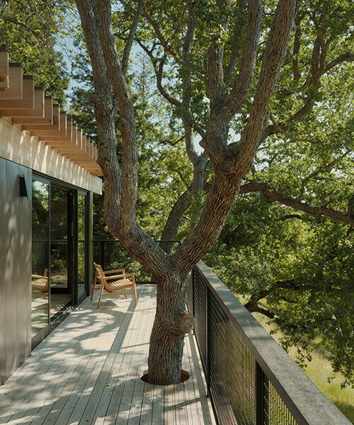 mork-ulnes extends california home with pavilion punctuated by oak and redwood trees