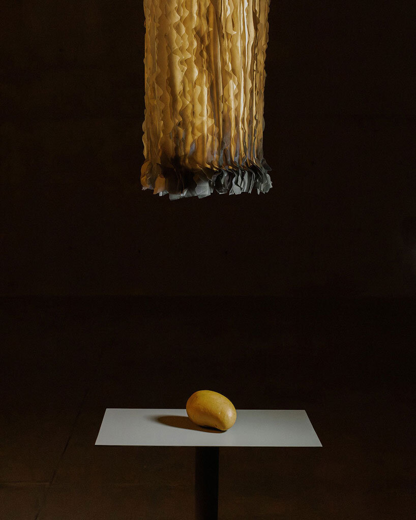 bacterial cellulose transforms into translucent ruffled lighting sculptures