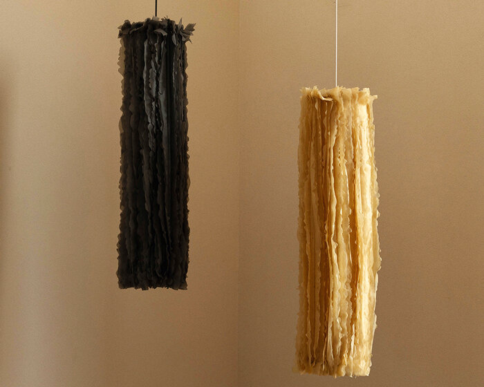 bacterial cellulose transforms into translucent ruffled lighting sculptures