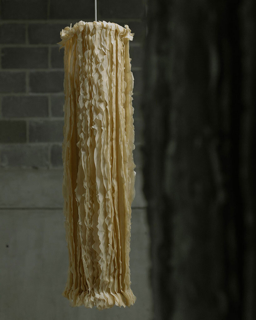 bacterial cellulose transforms into translucent ruffled lighting sculptures