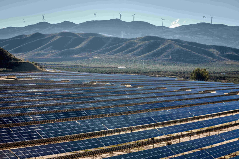 renewable energy surpasses coal as world's source of electricity