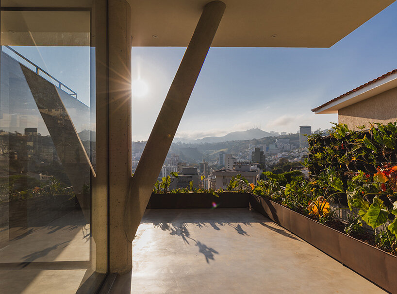 TETRO elevates house on concrete tree-like columns above the hills of belo horizonte, brazil