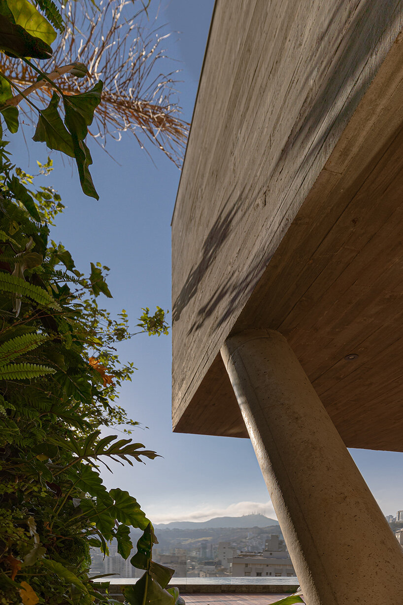 TETRO elevates house on concrete tree-like columns above the hills of belo horizonte, brazil