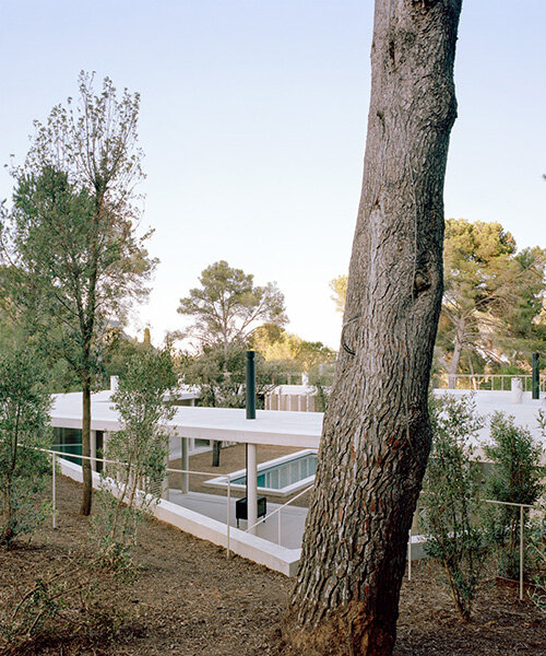 thin floating roof shelters arquitectura-G's colonnaded courtyard house in spain
