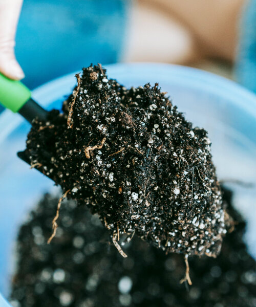 used batteries from electric vehicles return to greener life as fertilizers