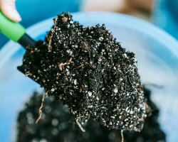 used batteries from electric vehicles return to greener life as fertilizers