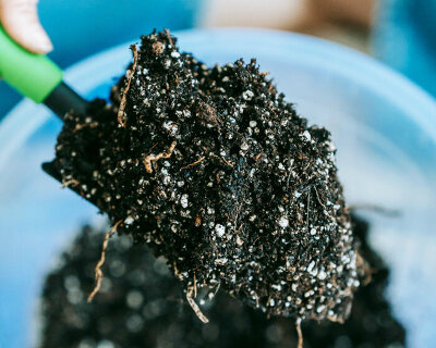 used batteries from electric vehicles return to greener life as fertilizers