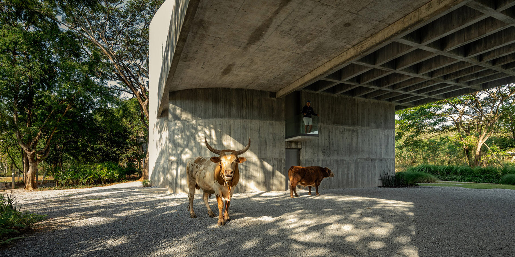 w-house-ii-idin-architects-thailand-designboom-06a