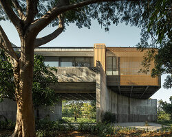 IDIN architects elevates home in thailand to shelter a garden for client's cows