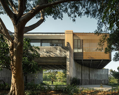 IDIN architects elevates home in thailand to shelter a garden for client's cows