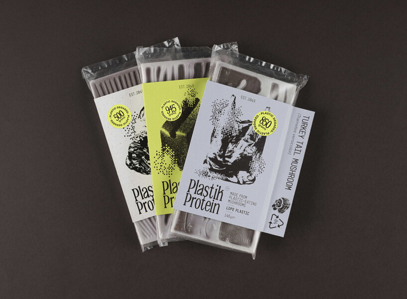 mushrooms chocolate protein bars