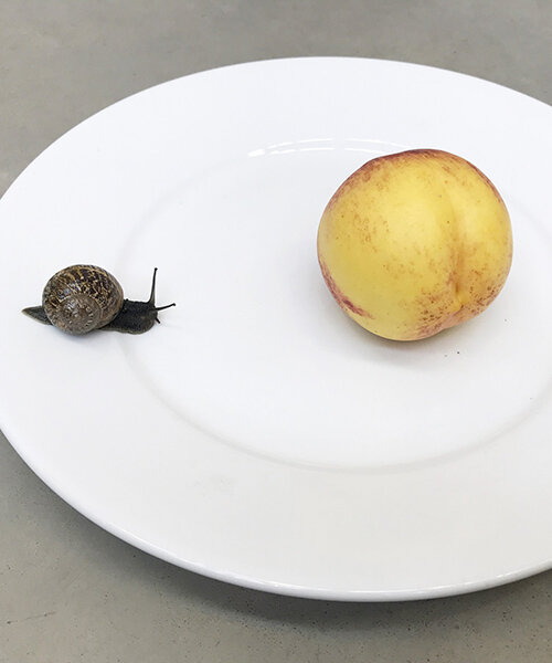 Juergen Teller: you are invited